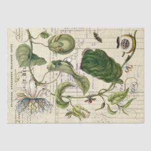 Vintage Passionflower, französisches Drehbuch Seidenpapier