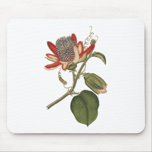 Vintage Passionsblume Mousepad