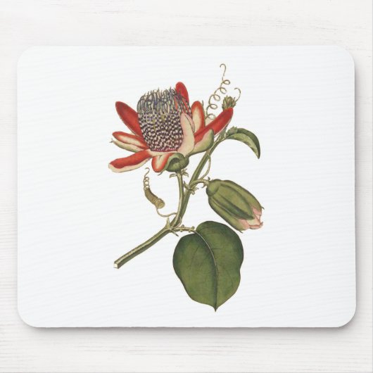 Vintage Passionsblume Mousepad (Vorne)