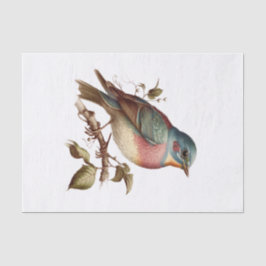 Vintage Pastel Bird Art Decoupage Seidenpapier