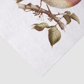 Vintage Pastel Bird Art Decoupage Seidenpapier (Ausschnitt)