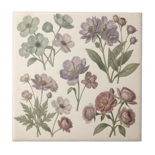Vintage Pastell-Anemonen Rosen Sanfte Botanik Fliese