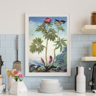 Vintage-Pastell-Aquarell-Pfingstrosen-Illustration Poster