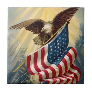 Vintage Patriotismus, patriotischer Adler amerikan Fliese