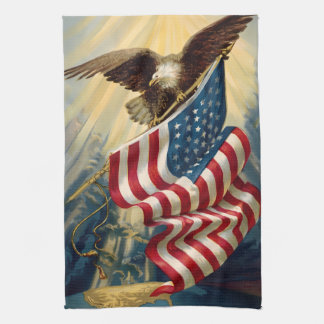 Vintage Patriotismus, patriotischer Adler amerikan Geschirrtuch
