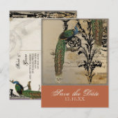 Vintage Peacock 6 - Save the Date Postkarten (Vorne/Hinten)