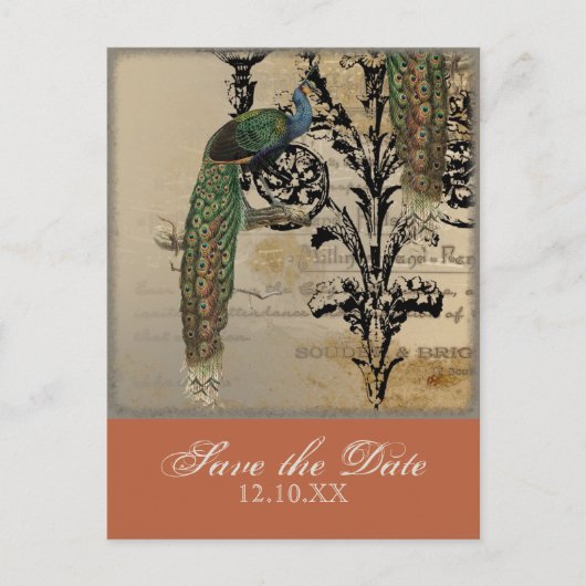 Vintage Peacock 6 - Save the Date Postkarten (Vorderseite)