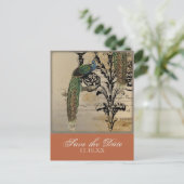 Vintage Peacock 6 - Save the Date Postkarten (Stehend Vorderseite)