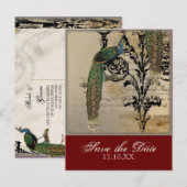 Vintage Peacock 6 - Save the Date Postkarten (Vorne/Hinten)