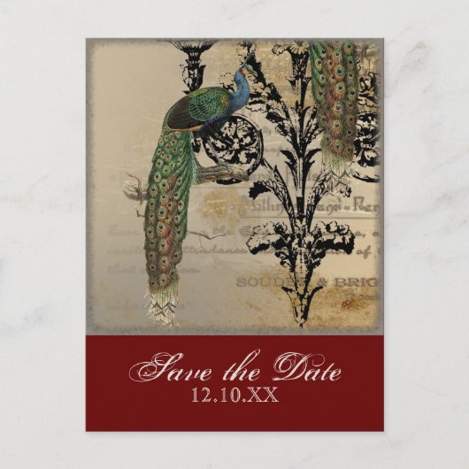Vintage Peacock 6 - Save the Date Postkarten (Vorderseite)