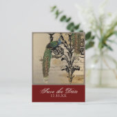 Vintage Peacock 6 - Save the Date Postkarten (Stehend Vorderseite)