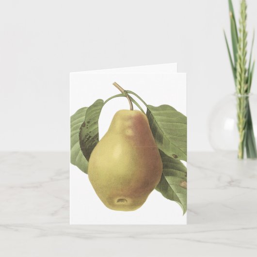 Vintage Pear...notecard Karte (Vorderseite)