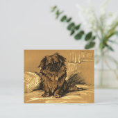 Vintage Pekingeses Postkarte (Stehend Vorderseite)