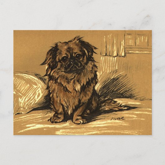 Vintage Pekingeses Postkarte (Vorderseite)