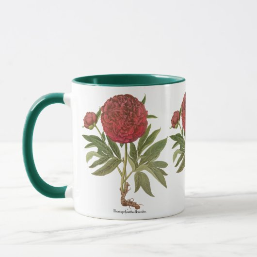 Vintage Peonies, Peony-Blume von Basilius Besler Tasse (Links)