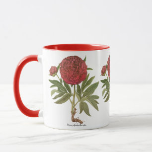 Vintage Peonies, Peony-Blume von Basilius Besler Tasse