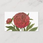 Vintage Peonies, Peony-Blume von Basilius Besler Visitenkarte (Rückseite)