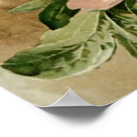 Vintage Peonies Poster (Ecke)