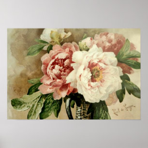 Vintage Peonies Poster