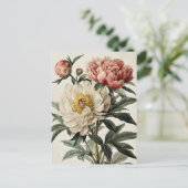 Vintage Peonies Postkarte (Stehend Vorderseite)