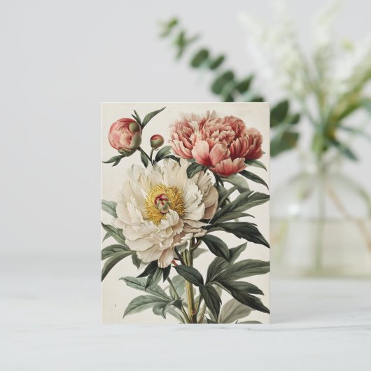 Vintage Peonies Postkarte (Stehend Vorderseite)