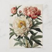 Vintage Peonies Postkarte (Vorderseite)