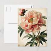 Vintage Peonies Postkarte (Vorne/Hinten)