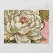 Vintage Peony-Blume Postkarte (Vorderseite)