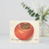 Vintage Persimmon Postkarte (Stehend Vorderseite)