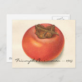 Vintage Persimmon Postkarte (Vorne/Hinten)