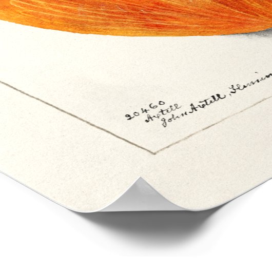 Vintage Persimmons Fruchtsaftfarbe Poster (Ecke)