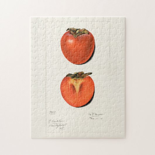 Vintage Persimmons Fruchtsaftfarbe Puzzle (Vertikal)