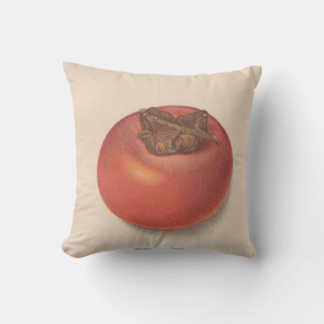 Vintage Persimone-Amerikaner Jo Kissen (Vorderseite)