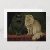 Vintage persische Katze Postkarte (Vorne/Hinten)