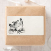 Vintage Personalisierte Hühnerroster Cochin-Vögel (Insitu)