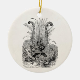 Vintage personalisierter Vogel - Retro-Leierschwan Keramik Ornament