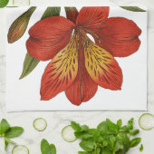 Vintage Peruvian Lily Geschirrtuch (Gefaltet)