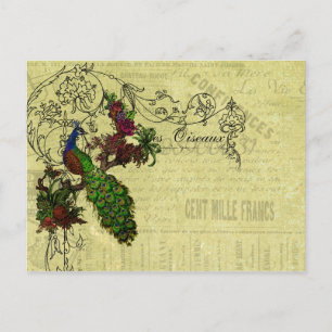 Vintage Pfau auf Ast Bekleidung und Geschenke Postkarte