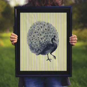 Vintage Pfau auf dünnen Streifen Poster