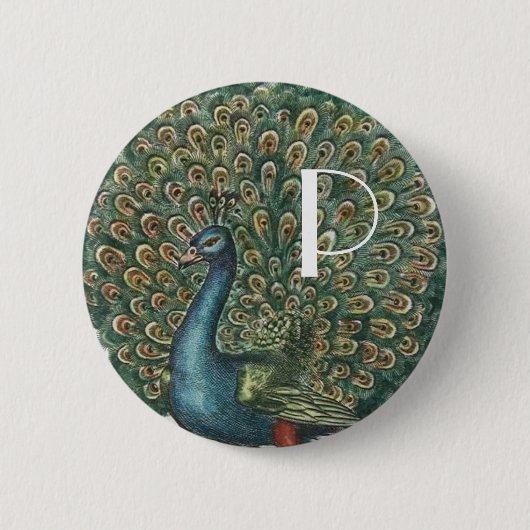 Vintage Pfau Button (Vorderseite)