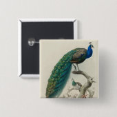 Vintage Pfau Button (Vorne & Hinten)