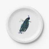 Vintage Pfau-Illustration Pappteller (Vorderseite)