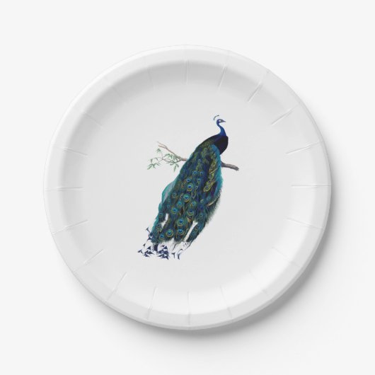 Vintage Pfau-Illustration Pappteller (Vorderseite)