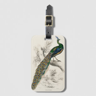 Vintage-Pfau-Naturhistorischer Druck Gepäckanhänger