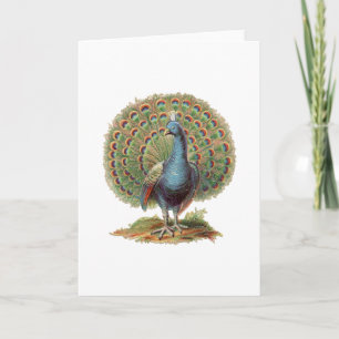 Vintage Pfau...Notizkarte Karte