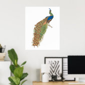 Vintage Pfau Poster (Heimbüro)