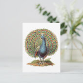Vintage Pfau… Postkarte (Stehend Vorderseite)