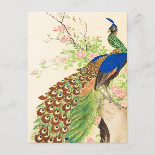 Vintage Pfau- und Blume-Malerei Postkarte (Vorderseite)