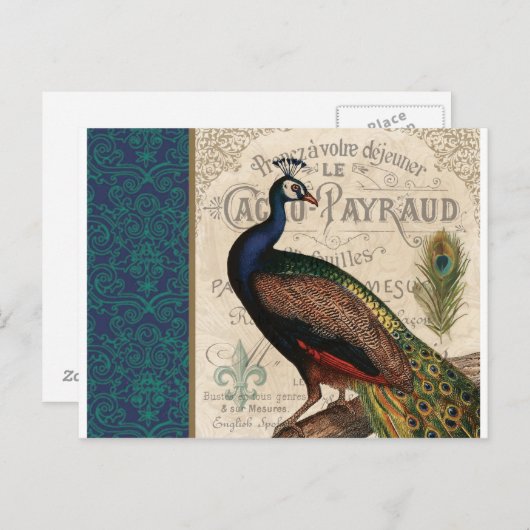 Vintage Pfaue Postkarte (Vorne/Hinten)