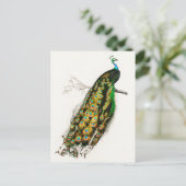 Vintage Pfauendarstellung Postkarte (Stehend Vorderseite)